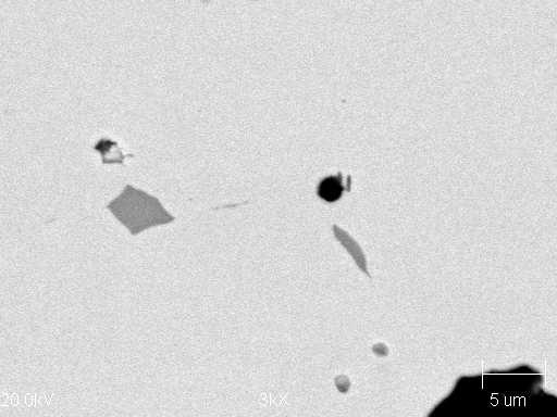 Appearance of matrix (a) and vanadium carbides (b) w1 w2 w3 w4 w5 w6 w7