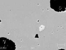 Appearance of matrix (a) and niobium carbides (b) Nb1 Nb2 Nb3 Nb4 Nb5