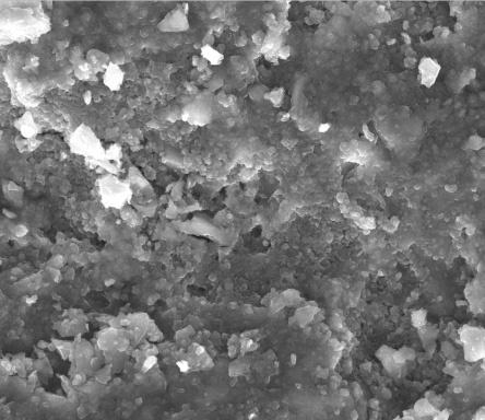 Wartoœæ onoz¹ca iê o próbek erii D yraÿnie zro³a o 102 107, ziêki czemu pota³a po³oka kuteczniej ogranicza ch³anianie cieczy o charakterze zaróno polarnym (oa), jak i apolarnym (rozpuzczalnikó
