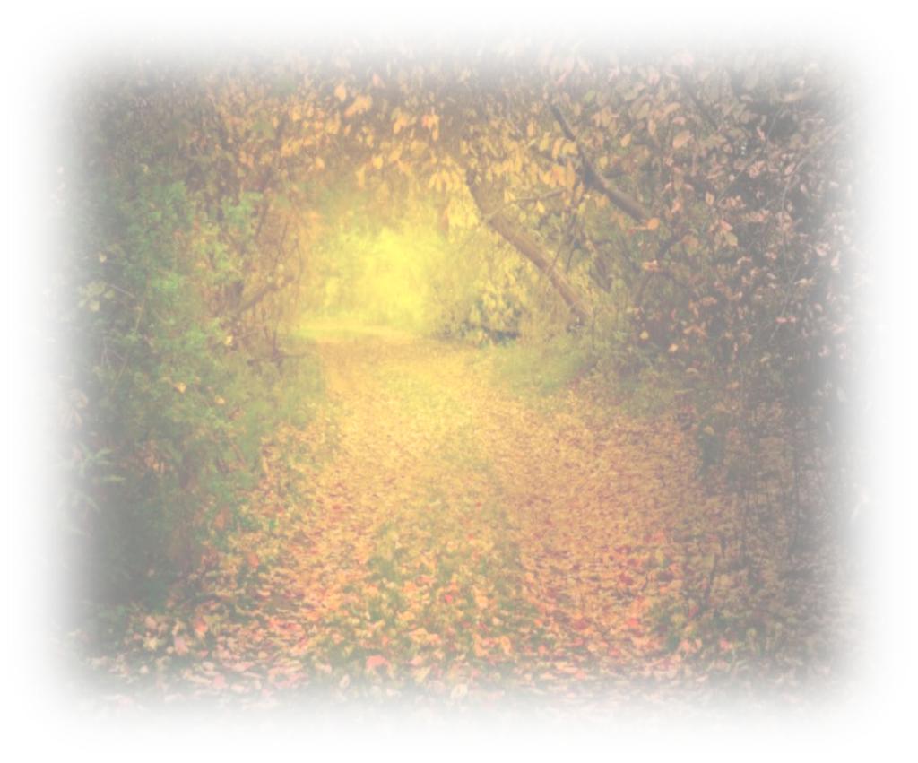 25TH SUNDAY IN ORDINARY TIME SEPTEMBER 22, 2019 622 PULASKI STREET RIVERHEAD, NY 11901-3038 PHONE (631) 727-2114 FAX (631) 369-3566 EMAIL: sisidore@optonline.net www.saintisidoreriverhead.org ST.