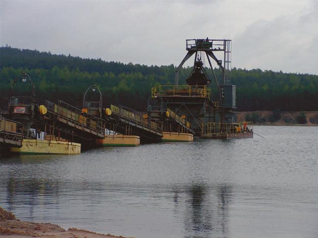 [8] Dokumentacja geologiczna złoża zlepieńców zygmuntowskich Zygmuntówka z zasobami w kat. C 2, C 1 + B, miejsc. Sitkówka, 1970 [9] Fornaro M., Lovera E.