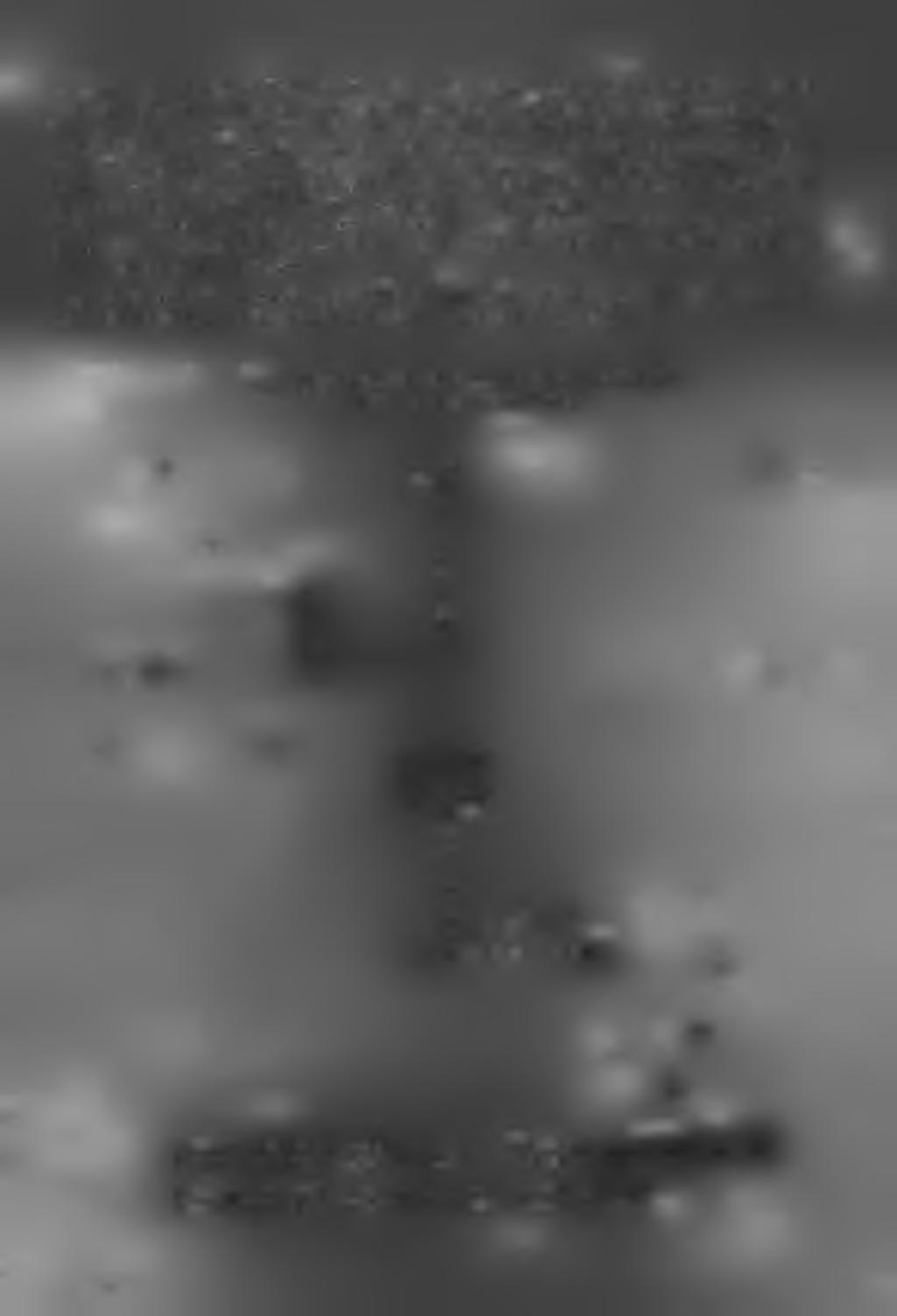 oo 6 ys. on. Ze zborów 986 roku /od pca do g-udna/ okupono 4,6 yo. on. Skup en Jes mnejszy o,2 ya.