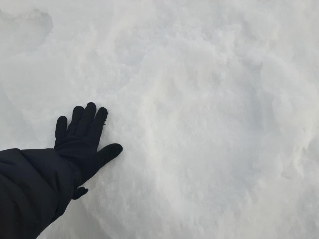 Fot. 3 Odcisk łapy Niedźwiedzia Polarnego (Hubert Brauer)