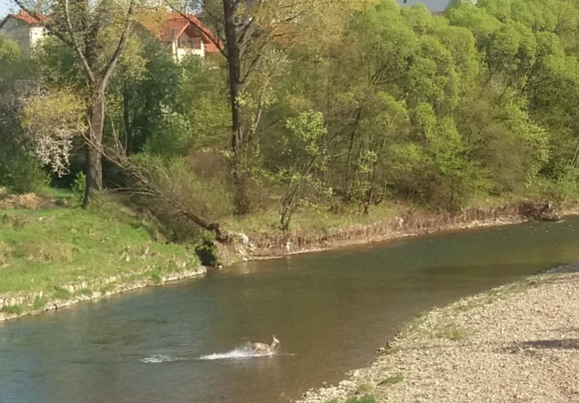 pl Stan jednolitych części wód w zlewni