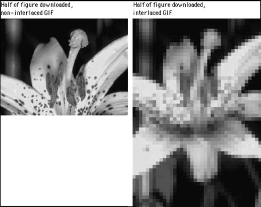 Formaty obrazu GIF (*.gif) opracowany przez firmę CompuServe wykorzystuje paletę 256 kolorów obsługiwana przezroczystość informacje o kolorach w palecie (a także o rozmiarze i wsp.