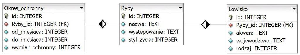 Zadanie egzaminacyjne Wykonaj aplikację internetową portalu dla wędkarzy, wykorzystując pakiet XAMPP oraz edytor zaznaczający składnię. Aby wykonać zadanie, zaloguj się na konto Egzamin bez hasła.
