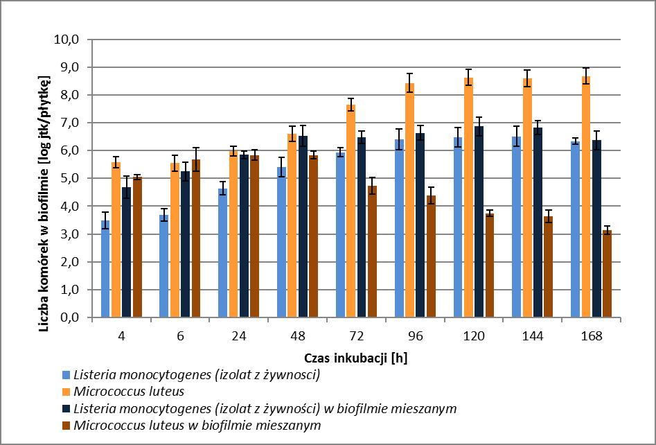 Podobne zależności pomiędzy drobnoustrojami odnotowano w badaniach z użyciem drugiego szczepu Listeria monocytogenes (izolat z żywności), przy czym liczba wykrywanych komórek tej bakterii w biofilmie