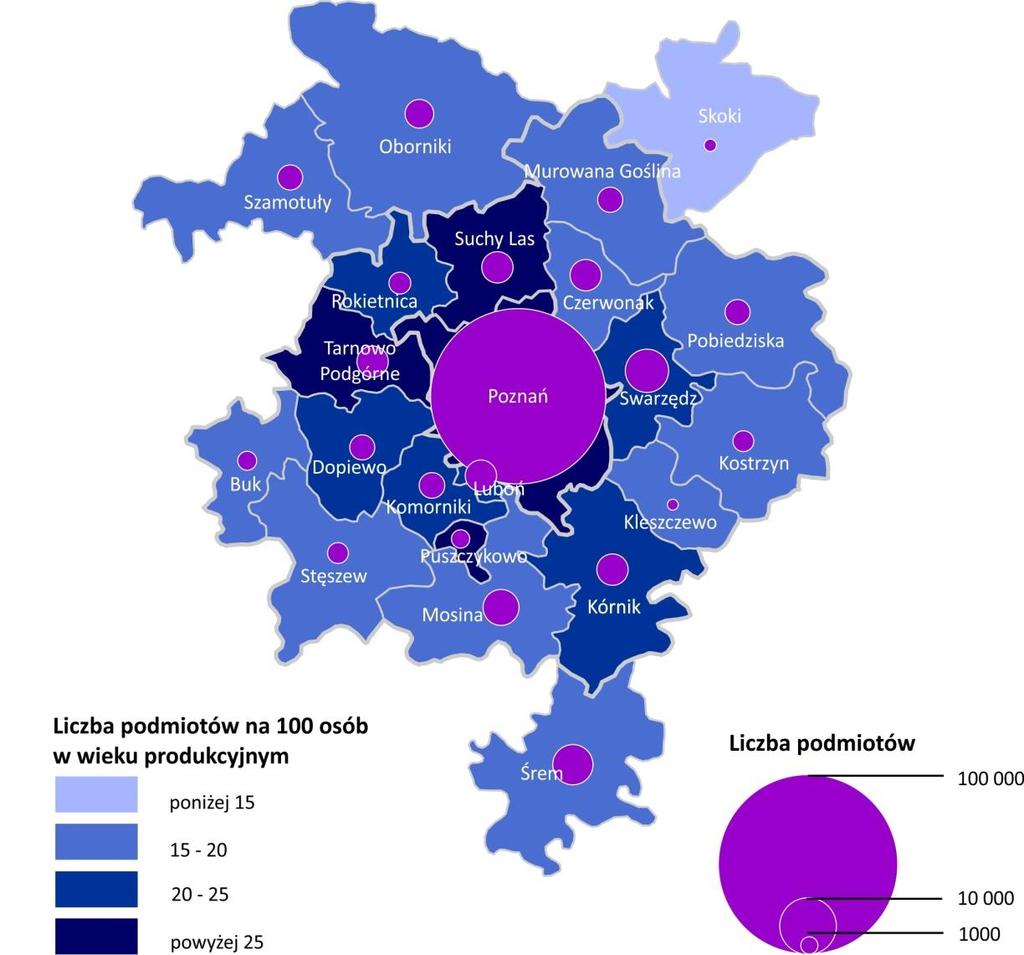 Ryc. 9 Podmioty gospodarcze w Metropolii Poznań (2013 r.). Źródło: Opracowanie własne na podstawie danych GUS, 2014. Niewystarczający jest także rozwój rodzimych firm informatycznych.