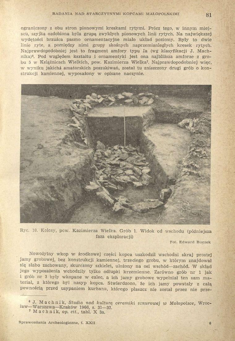 BADANIA NAD STAROŻYTNYMI KOPCAMI MAŁOPOLSKIMI 81 ograniczony z obu stron pionowymi kreskami rytymi. Prócz tego, w innym miejscu, szyjka ozdobiona była grupą zwykłych pionowych linii rytych.