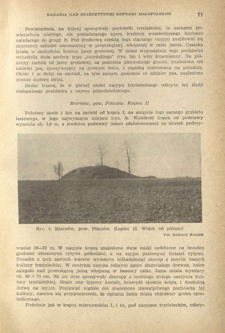 BADANIA NAD STAROŻYTNYMI KOPCAMI MAŁOPOLSKIMI 71 Powierzchnia, na której spoczywały pochówki trzcinieckie, to zarazem powierzchnia niskiego, ale posiadającego sporą średnicę wcześniejszego kurhanu