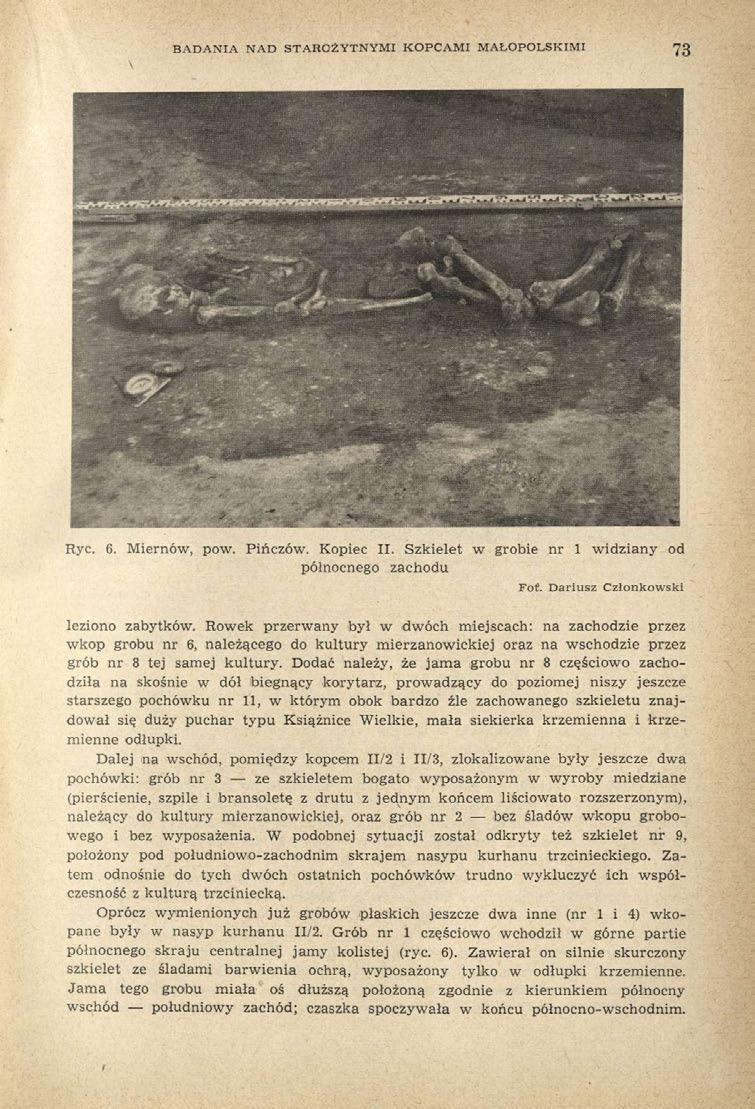 BADANIA NAD STAROŻYTNYMI KOPCAMI MAŁOPOLSKIMI 73 Ryc. 6. Miernów, pow. Pińczów. Kopiec II. Szkielet w grobie nr 1 widziany od północnego zachodu Foť. Dariusz Członkowski leziono zabytków.