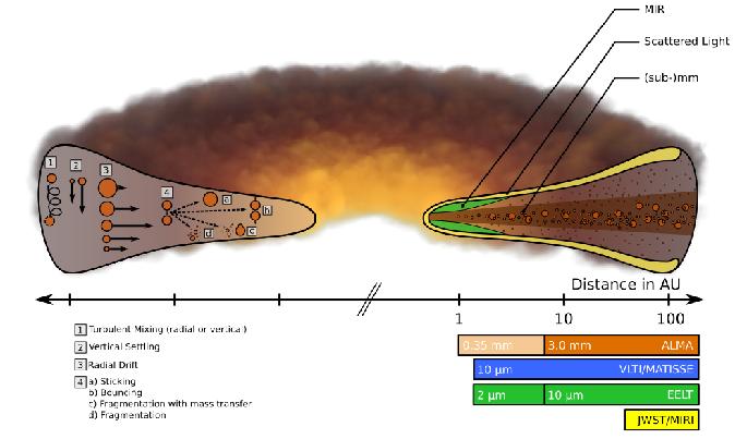 OUR INGREDIENTS Disc mass composition: Gas 99% + dust 1% + hosting/forming planets Gas: H 2 is the most abundant species, but: Symmetry of H 2 : rotational lines emission too weak!