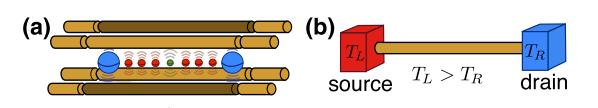 Proposal for trapped ions A. Bermudez, M.