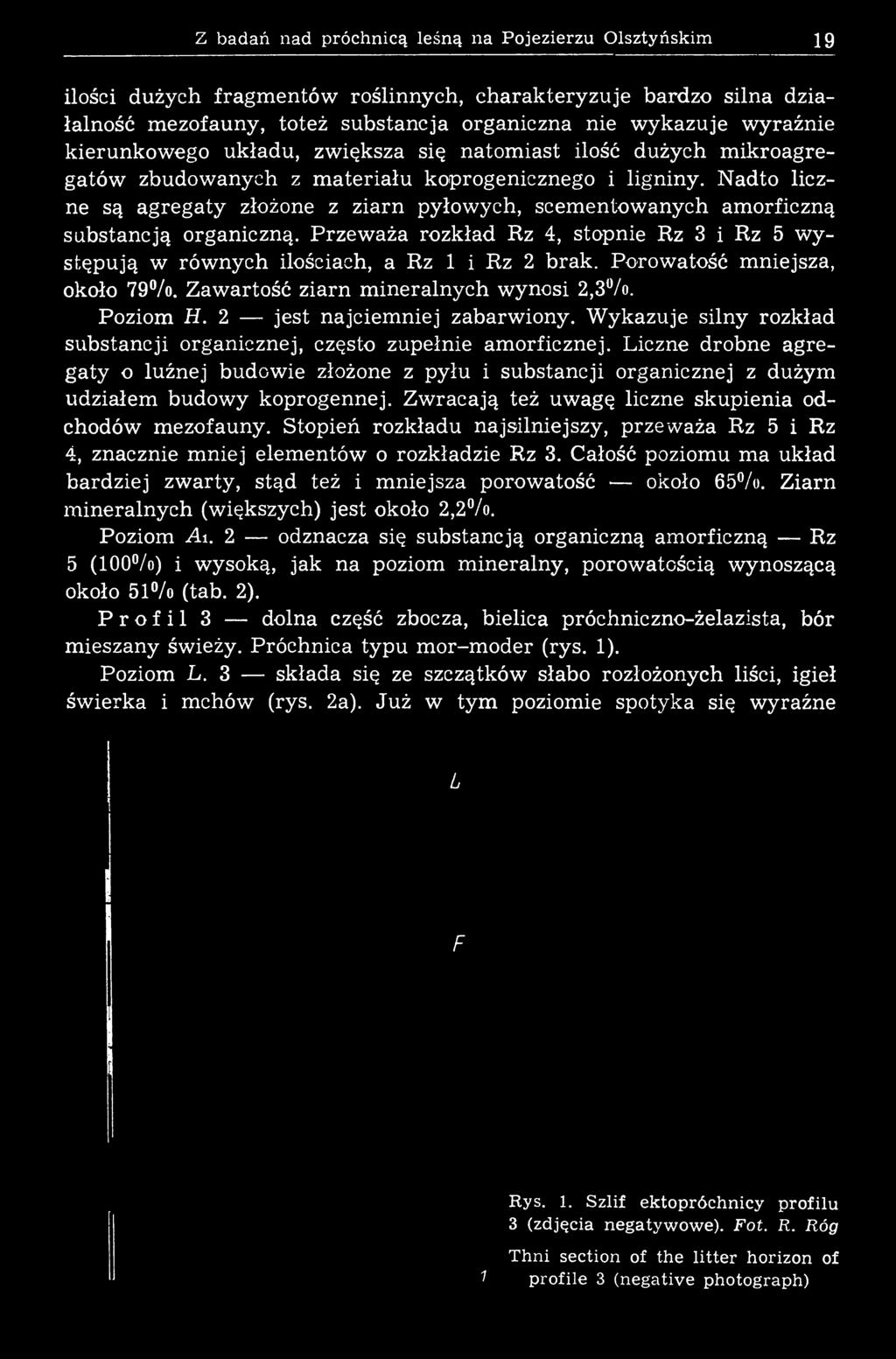 Z badań nad próchnicą leśną na Pojezierzu Olsztyńskim 19 ilości dużych fragm entów roślinnych, ch ara k te ry z u je bardzo silna działalność mezofauny, toteż substancja organiczna nie w ykazuje