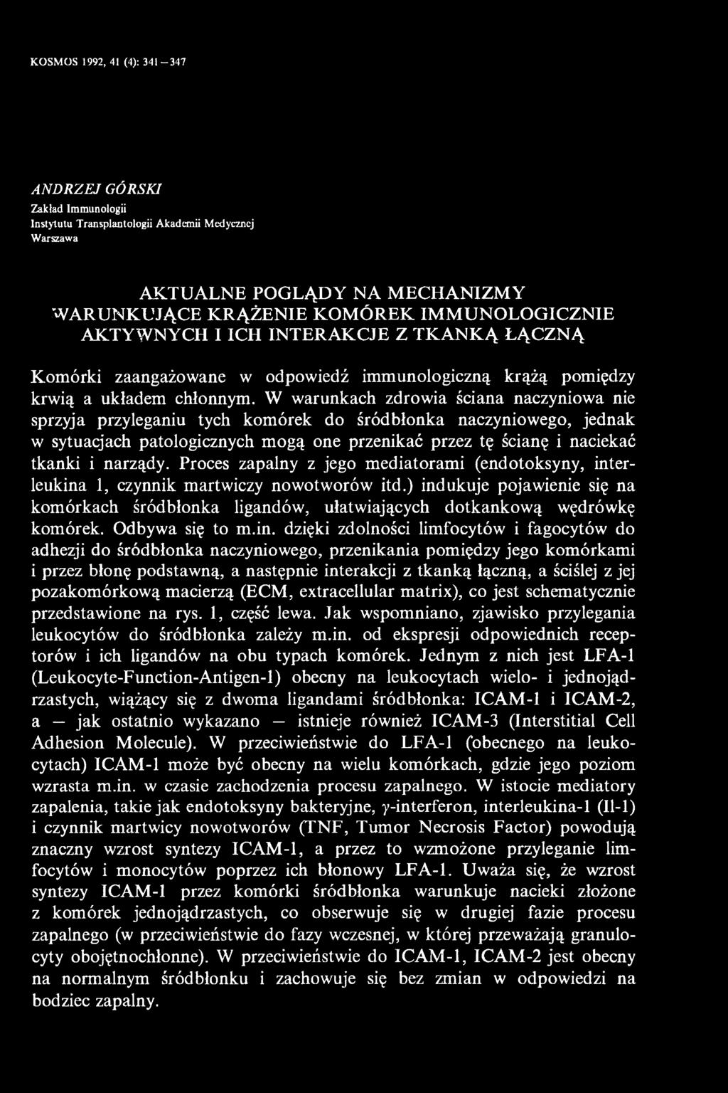 W warunkach zdrowia ściana naczyniowa nie sprzyja przyleganiu tych komórek do śródbłonka naczyniowego, jednak w sytuacjach patologicznych mogą one przenikać przez tę ścianę i naciekać tkanki i
