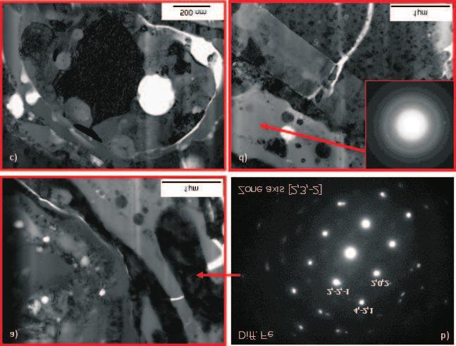 73 Fig. 2. TEM micrographs of magnified areas of Fe-Al coating show in Fig.