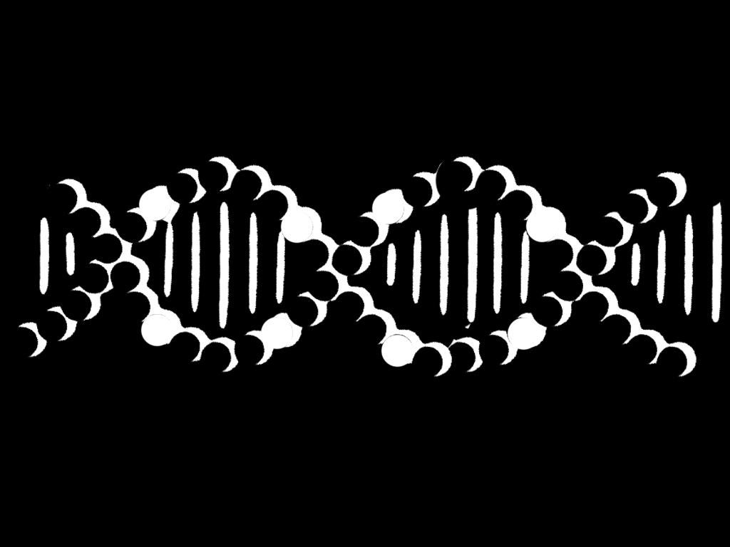 DNA WOJEWÓDZTWA ŚLĄSKIEGO niski poziom aktywności zawodowej wysoki potencjał demograficzny migracje bioróżnorodność wysokie zanieczyszczenie powietrza potencjał turystyczny aktywizacja centrów miast