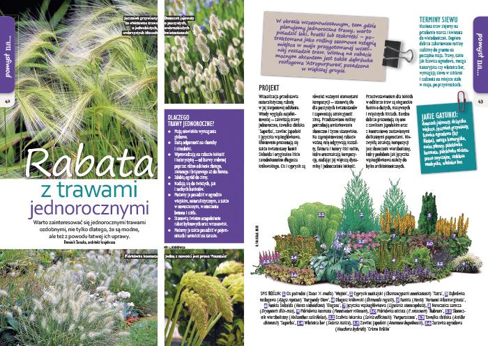 Są łatwe w uprawie i niezwykle komponować z innymi roślinami