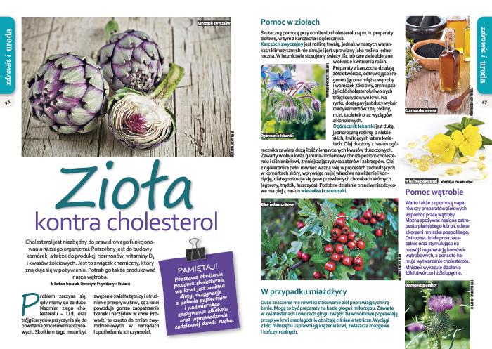 Cholesterol komórek, a także produkcji m.in. witaminy D3, mamy go zawby dużo,kiedy utrzymać sprzymierzeńcem zaczyna jego się problem.