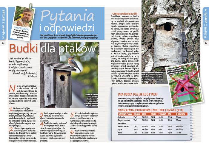 Zasiedlenie przez własnoręcznie Sprawdź konkretnego jakie ptaka należy zrobić ogrodu. otwory wlotowe izabieg gdzie umiejscowić budki lęgowe to Moim niezwykła aby zaprosić przyjemność.