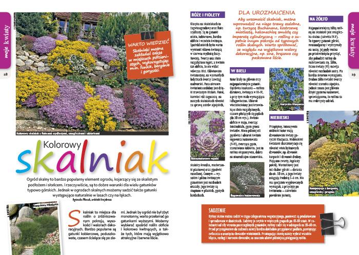 Ten element działki jestwzawsze modny, stworzyć Rośliny tu rosną atrakcyjne same, sposób jednobarwne bardzo lub