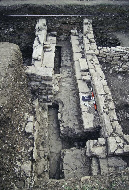 Ryc. 2. Monumentalny mur i próg ( pałac ) na Carine viii (fot. M. Lemke). fig. 3.