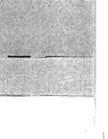 a i b ustawy lub patnści w ramach budżetu śrdków eurpejskich realizwanych przez jednstki 40 40 5500 5 20000 20000 1500 1500 3000 3000 22000 22000 12000 12000 samrządu 104000.