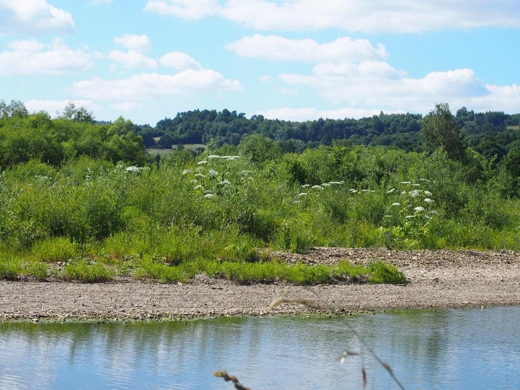 z etapów sukcesji na kamieńcach rzek i potoków (fot. S. Jarek) Fot.10.