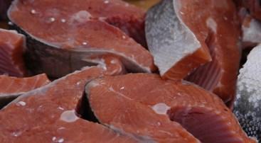 Wymagania mikrobiologiczne krajów trzecich, na przykładzie produktów rybołówstwa Chiny - Enterobacteriaceae - Listeria monocytogenes - Vibrio cholerae - Vibrio parahaemolyticus Wymagania