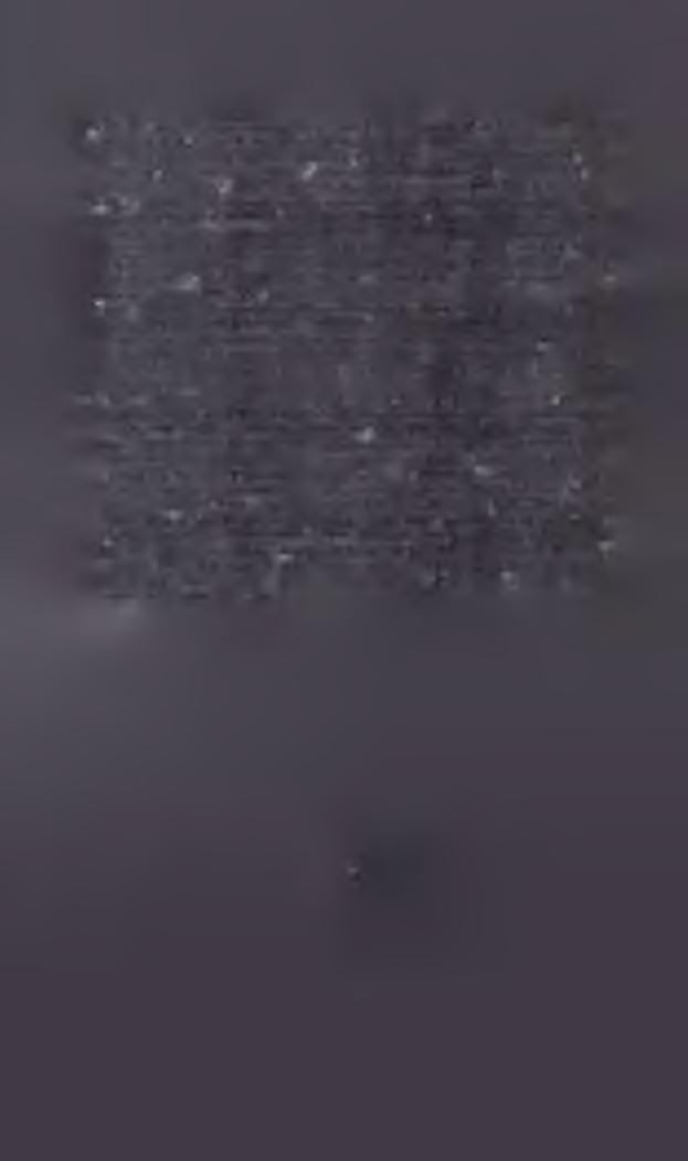 19) K.S-D.