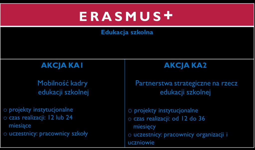 PROGRAM