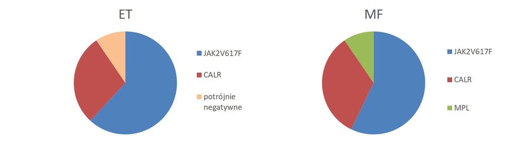 Ryc. 2. Rozkład mutacji w wybranych genach JAK2, CALR, MPL na przykładzie badanej grupy pacjentów chorych na ET oraz MF Fig. 2. The distribution of mutation analysed in JAK2, CALR and MPL genes in the study grup of patients with ET or MF Tabela III.