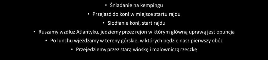 plaży Aglou w rejonie Tiznit, który