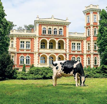 Prezesem Zarządu na stronie 41.