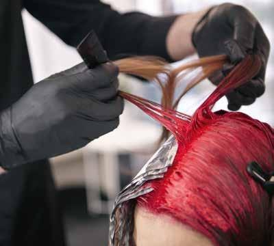 DEMI-PERMANENT COLOR MASTERY COLOR TECHNICIAN Mistrzowskie zastosowanie koła usługi i standardów pracy.