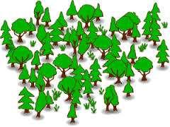 Uwarunkowania gospodarki leśnej w zakresie planowania założenia gospodarki leśnej wskazania planistyczne przy prowadzeniu gospodarki leśnej korzystanie z usług doradztwa, w tym z uwzględnieniem