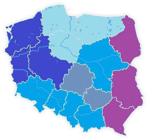 8 Wskaźnik koniunktury wg makroregionów - - VI 18 V 19 VI 19 Południowy (województwa: małopolskie i śląskie) 11,1 3,2-8,8 Północno-zachodni (województwa: lubuskie, wielkopolskie i