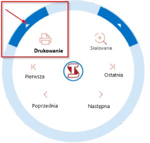 Za pomocą wstążki można zapisać raport jako plik PDF lub RTF. Po kliknięciu w "Zapisz PDF" raport zostaje zapisany jako plik PDF.