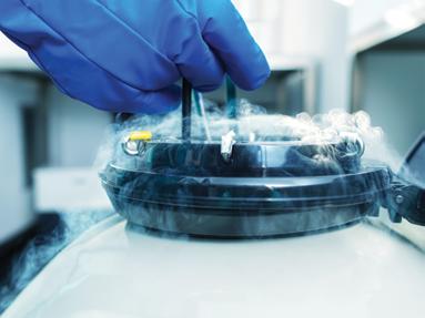 by eliminating the need to transfer precious specimens to different media formulations for vitrification.