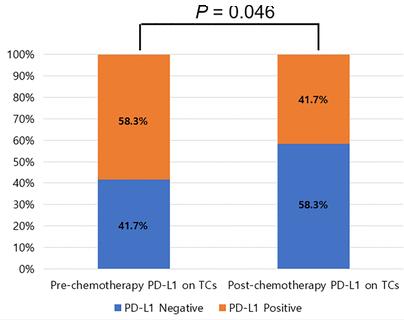 żołądka TC3 > 10% TC2 > 5% TC1 > 1% TC0 < 1% Sheng J et al. Scientific Reports.