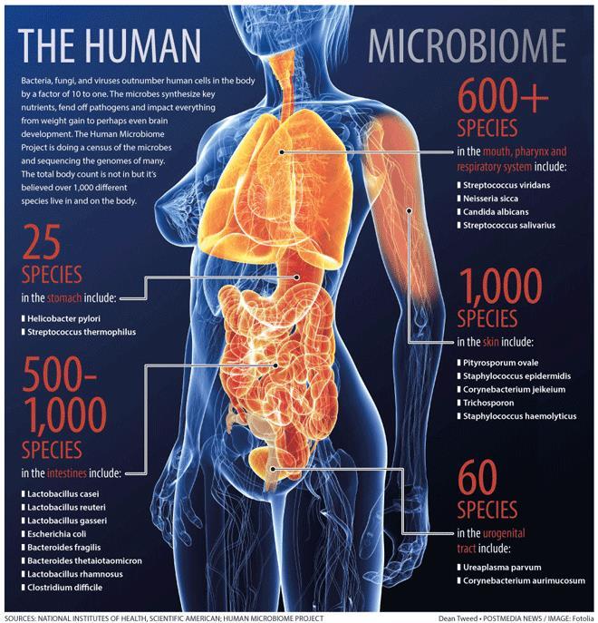Mikrobiom jako czynnik predykcyjny dla immunoterapii chorób