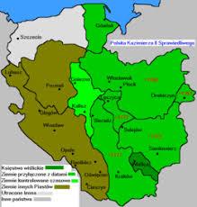 partyjnych z określonej ziemi wyborczej (okręgów wyborczych), co w konsekwencji doprowadzi do rozbicia terytorialnego