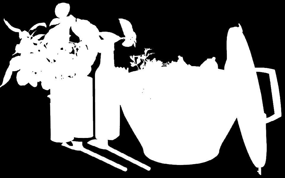 PLUS SALAD SET BAZYLIA PLUS ZESTAW: