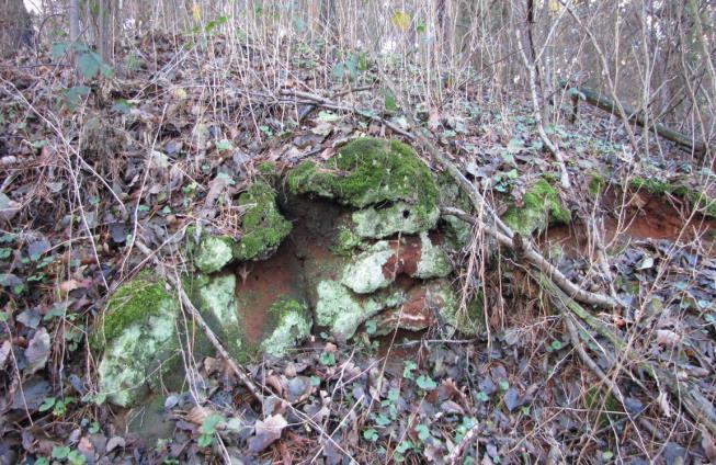 ZAŁĄCZNIKI FOTOGRAFICZNE (WYCHODNIE i ODSŁONIĘCIA SKALNE): Gapinin