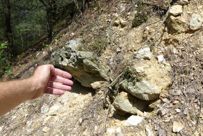 Wychodnia chalcedonitu w Gapininie - bardzo rzadka skała w skali