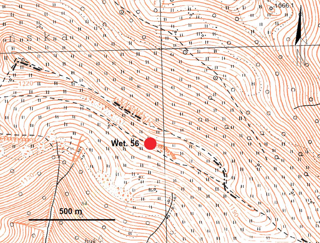 Ryc. 2. Wetlina, stan. 56.