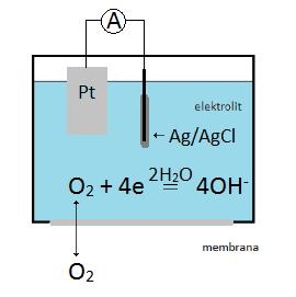 elektroda Clarka z aktywną warstwą