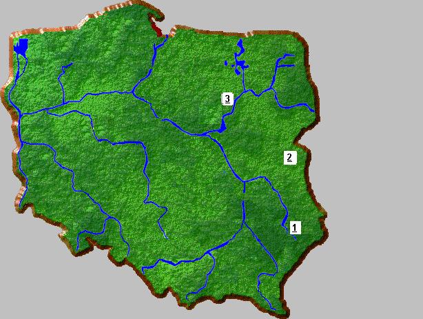 Jedynie na ostatnim z wymienionych powyżej obiektów nadawczych spółka INFO-TV-FM umieściła nadajnik małej mocy umożliwiający rozpowszechnianie programów telewizyjnych, z którego korzysta nadawca
