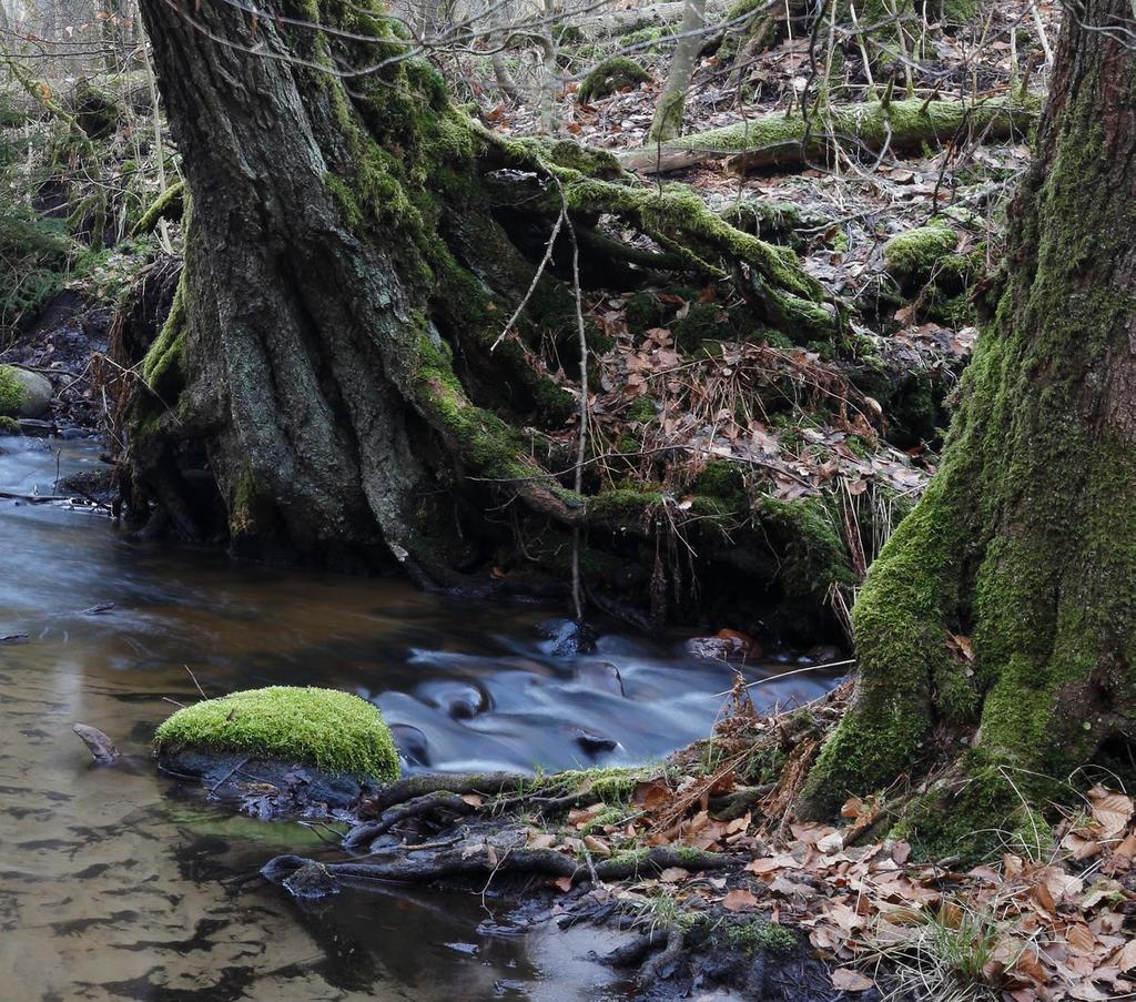 Pomorski Zespół Parków