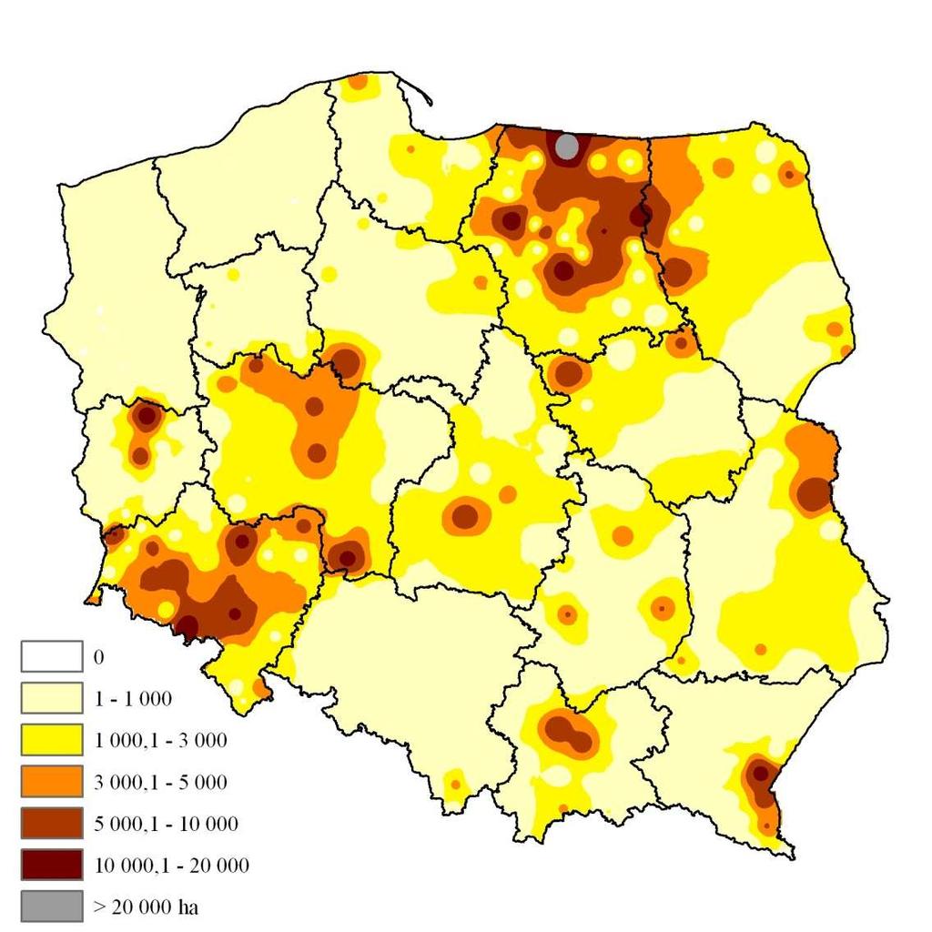 Wiatr Śnieg i lód Powódź